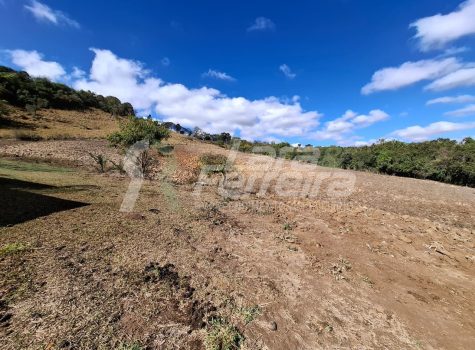 WhatsApp Image 2025-09-01 at 18.14.49 (1)