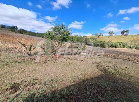 WhatsApp Image 2025-09-01 at 18.14.49