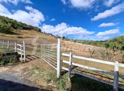 WhatsApp Image 2025-09-01 at 18.14.50 (6)