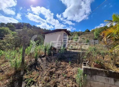 WhatsApp Image 2025-09-01 at 18.14.51 (2)