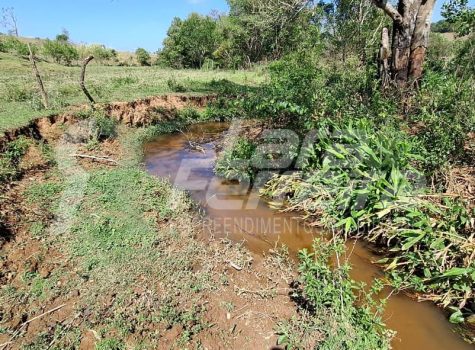 WhatsApp Image 2025-10-15 at 14.14.41