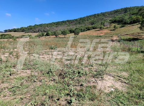 WhatsApp Image 2025-10-15 at 14.14.42 (1)