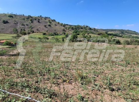 WhatsApp Image 2025-10-15 at 14.14.42 (2)