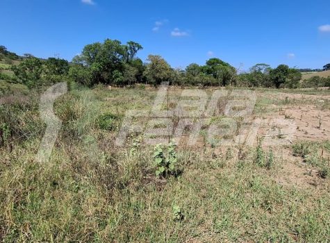 WhatsApp Image 2025-10-15 at 14.14.42