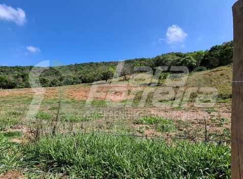 WhatsApp Image 2025-10-15 at 14.14.43 (1)