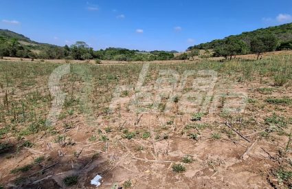 WhatsApp Image 2025-10-15 at 14.14.44 (1)