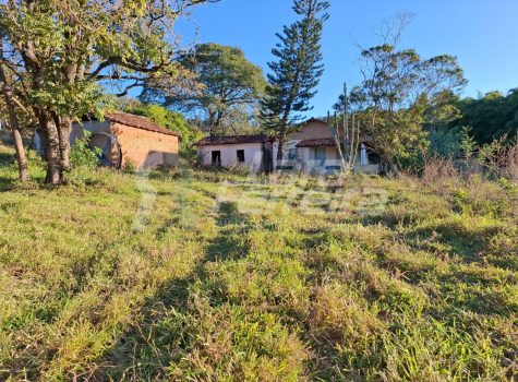 WhatsApp Image 2025-10-27 at 09.35.10