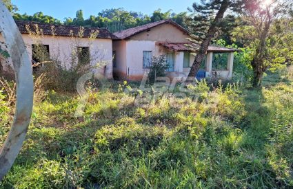 WhatsApp Image 2025-10-27 at 09.35.55