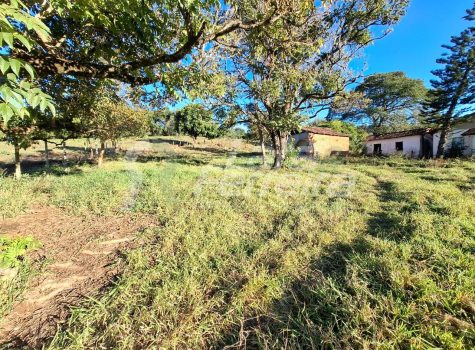 WhatsApp Image 2025-10-27 at 09.35.59