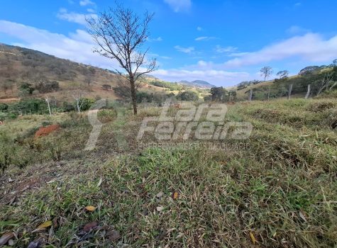 WhatsApp Image 2025-11-17 at 17.10.58 (1)