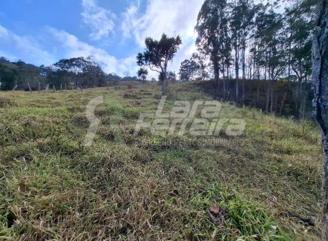 WhatsApp Image 2025-11-17 at 17.10.58