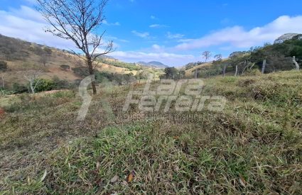 WhatsApp Image 2025-11-17 at 17.10.59