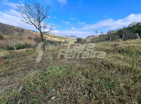 WhatsApp Image 2025-11-17 at 17.10.59