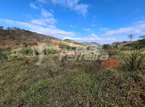 WhatsApp Image 2025-11-17 at 17.11.38 (1)