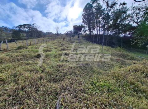 WhatsApp Image 2025-11-17 at 17.11.43