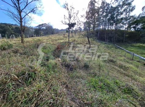 WhatsApp Image 2025-11-17 at 17.11.44