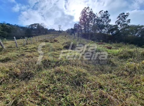 WhatsApp Image 2025-11-17 at 17.11.45