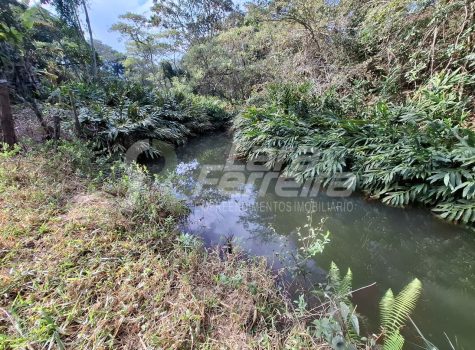 WhatsApp Image 2025-11-17 at 17.11.49