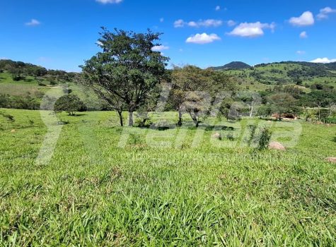 WhatsApp Image 2026-01-15 at 17.59.04