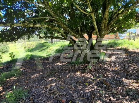 WhatsApp Image 2026-01-15 at 17.59.27