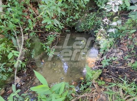 WhatsApp Image 2026-01-15 at 17.59.36